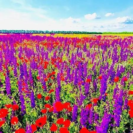 Apartment Royal Sea View By Kaliakria *