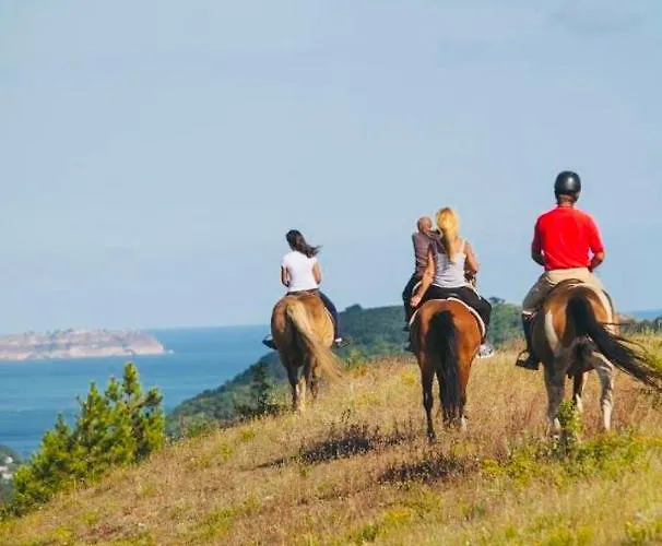 Royal Sea View By Kaliakria 公寓 托波拉