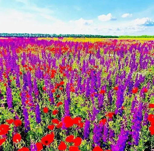 Appartement Royal Sea View By Kaliakria *